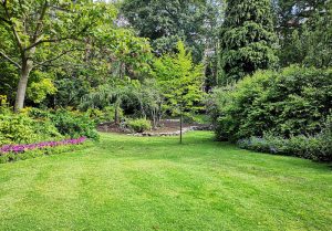 Optimiser l'expérience du jardin à Marquette-Lez-Lille
